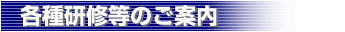 �e�팤�C���̂��ē�