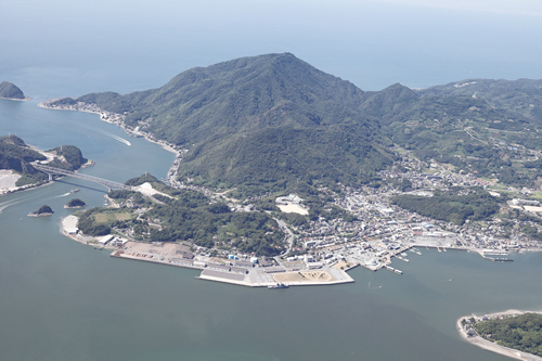 三角港